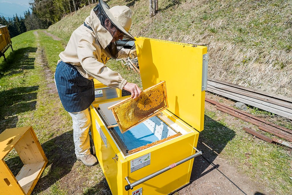 Jarné ošetrovanie včiel - workshop, včely - eventovy fotograf